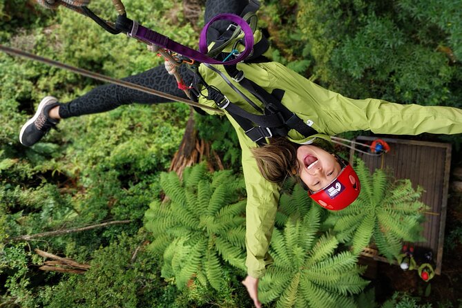 Rotorua’s Ultimate Zipline: 6 ziplines, 400 m Tandem, Cliff Walk - Key points to know before you book