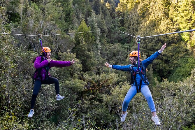 Rotorua’s Ultimate Zipline: 6 ziplines, 400 m Tandem, Cliff Walk - Six ziplines through an ancient Rotorua forest