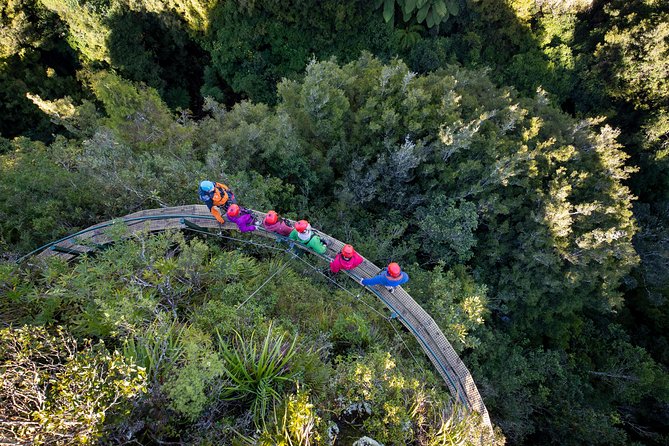 Rotorua’s Ultimate Zipline: 6 ziplines, 400 m Tandem, Cliff Walk - Is $166.93 a fair price?