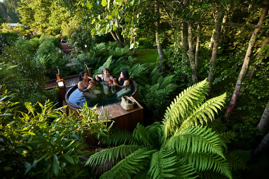 Rotorua: Secret Spot Hot Tubs - A forest soak near Waipa Mountain Bike Park