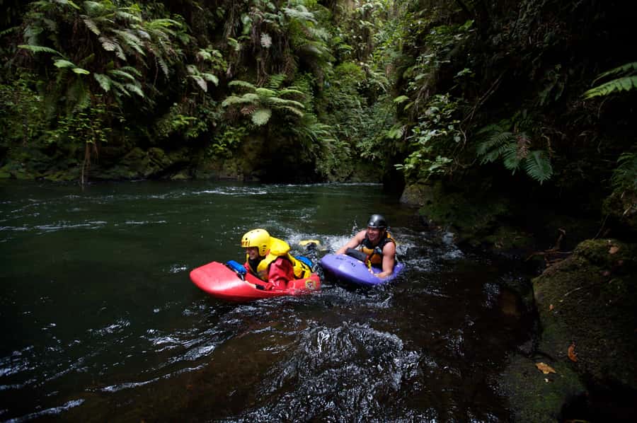 Rotorua Sledging: Kaituna White Water River Board Experience - Key points before you book
