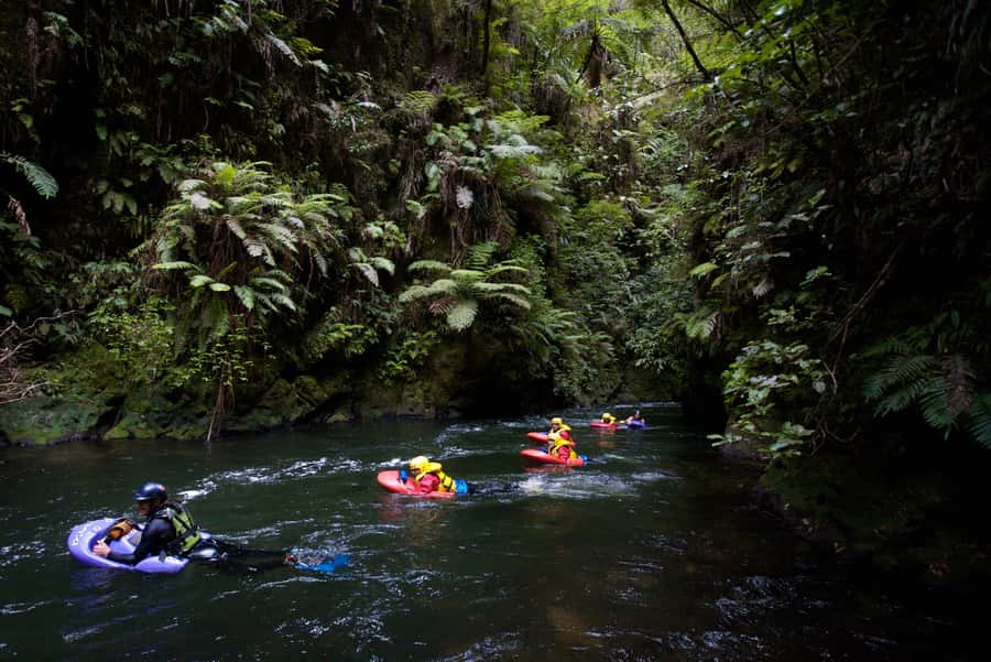 Rotorua Sledging: Kaituna White Water River Board Experience - The Rotorua pickup and 15-minute ride