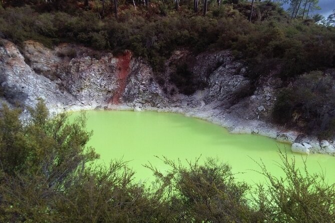 Rotorua Small-Group Day Tour from Auckland - Weather, pace, and practical comfort
