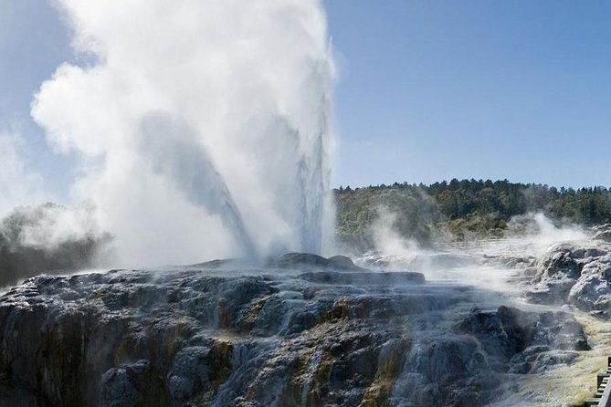 Rotorua Small-Group Day Tour from Auckland - A buffet lunch that earns its place