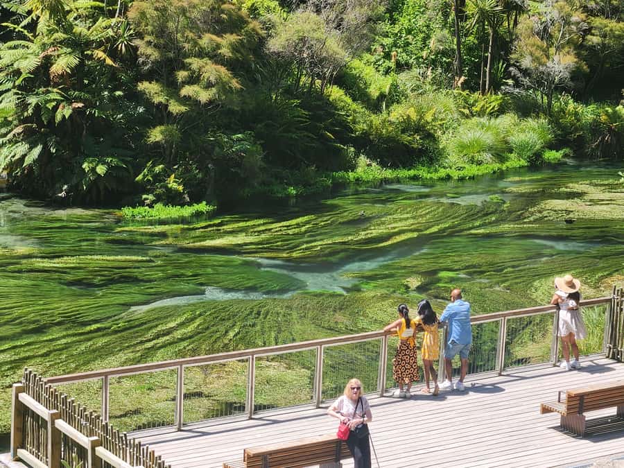 Rotorua & Taupo DayTour Waiotapu & Huka Falls from Auckland - Huka Falls: fast water and a short stop