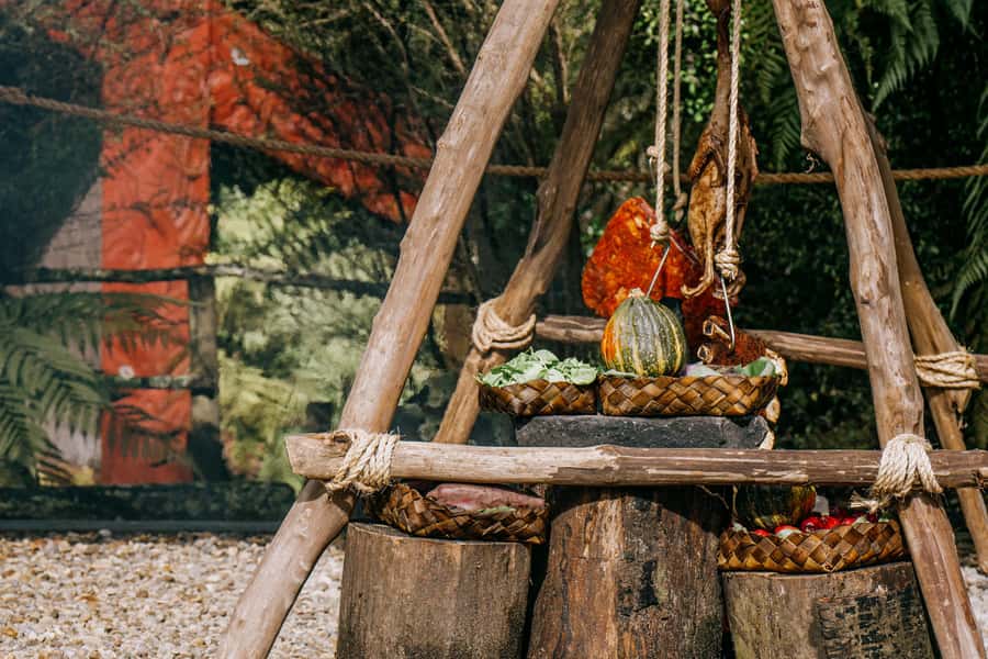 Rotorua: Te Pa Tu Māori Cultural Experience with Dinner - A welcome among trees and fire