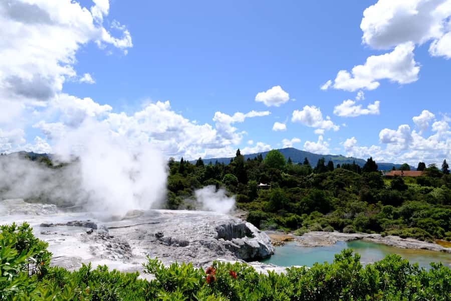 Rotorua: Te Puia Maori Village and Rejuvenation Tour - Meeting New Zealand’s kiwi bird