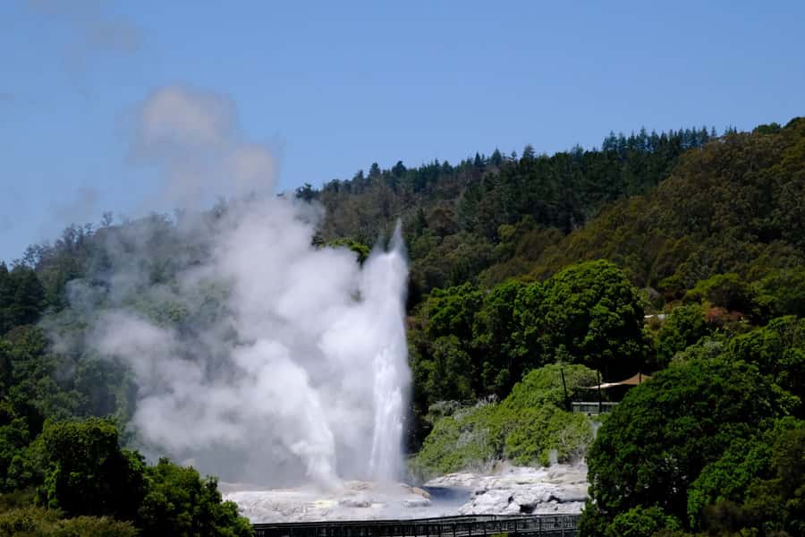 Rotorua: Te Puia Maori Village and Rejuvenation Tour - Leaving Tauranga in a Mercedes
