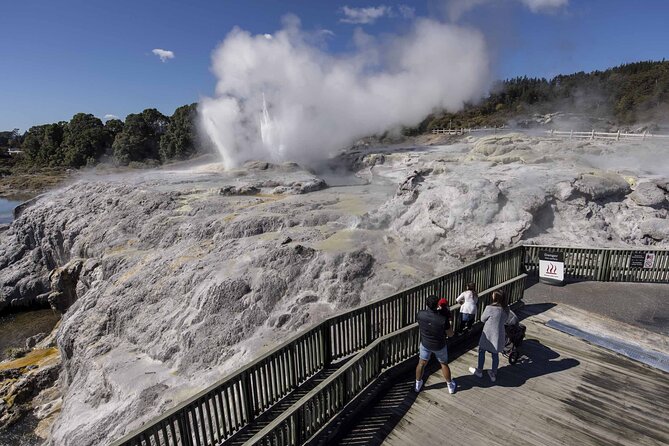 Rotorua: Te Rā Guided Experience + Haka - A kiwi encounter at the conservation centre