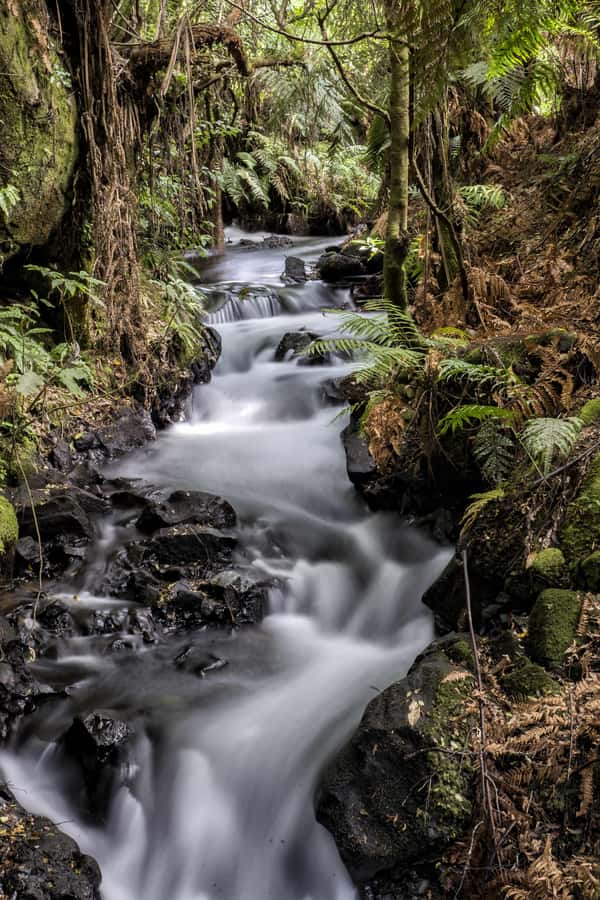 Rotorua: The Buried Village of Te Wairoa - Key points to know before you go