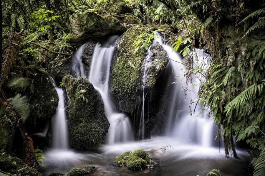 Rotorua: The Buried Village of Te Wairoa - Who will enjoy this visit most?
