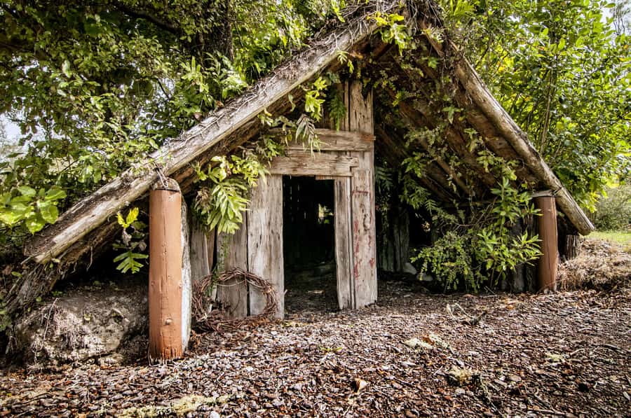 Rotorua: The Buried Village of Te Wairoa - My practical plan for the day