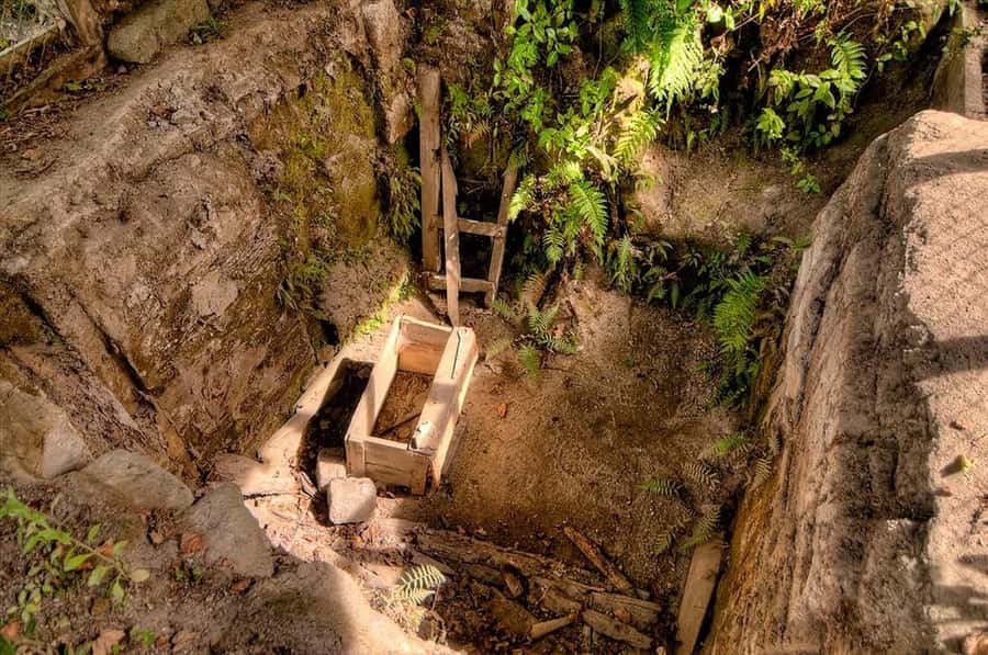 Rotorua: The Buried Village of Te Wairoa - Begin in the award-winning museum