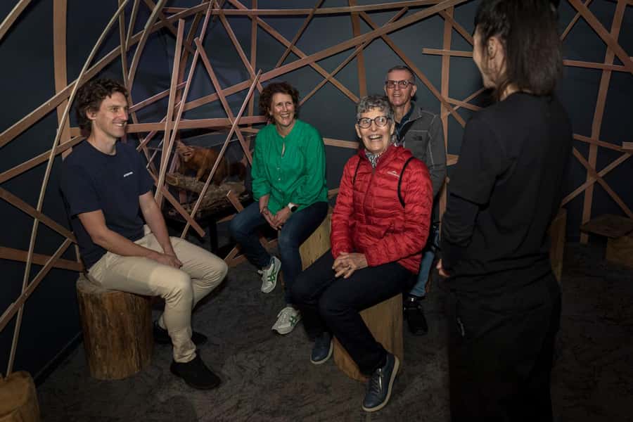 Rotorua: The National Kiwi Hatchery Kiwi Encounter Tour - Hatching season, chicks, and the best time to visit