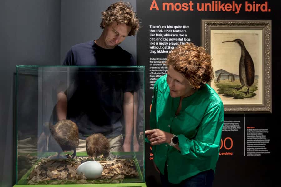 Rotorua: The National Kiwi Hatchery Kiwi Encounter Tour - Who will enjoy this Rotorua experience?