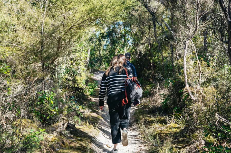 Rotorua: 'Thermal Path Tour' Geothermal half day Tour - Safety, clothing, and the walking demands