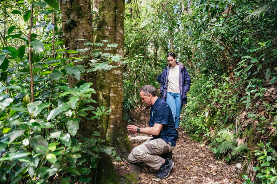 Rotorua: 'Thermal Path Tour' Geothermal half day Tour - Why this half-day works for Rotorua