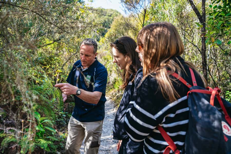 Rotorua: 'Thermal Path Tour' Geothermal half day Tour - Waikite Valley Thermal Pools and the final soak