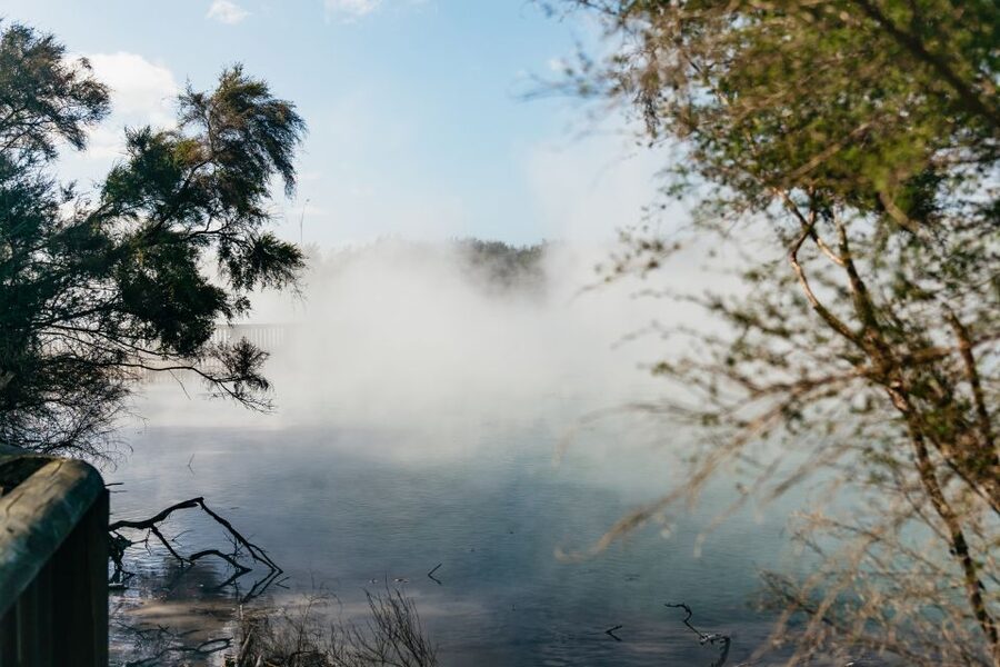 Rotorua: 'Thermal Path Tour' Geothermal half day Tour - Is $89 good value?