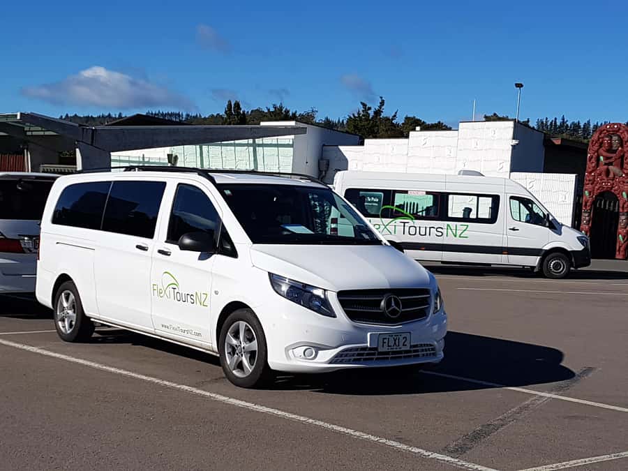 Rotorua to Auckland - Afternoon Transfer with Waitomo Caves - Why this Rotorua to Auckland transfer works well