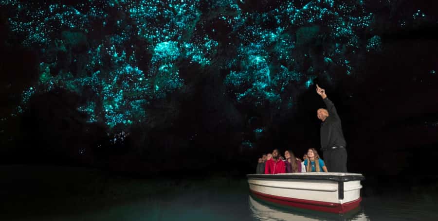 Rotorua to Auckland - Afternoon Transfer with Waitomo Caves - Leaving Rotorua in the afternoon