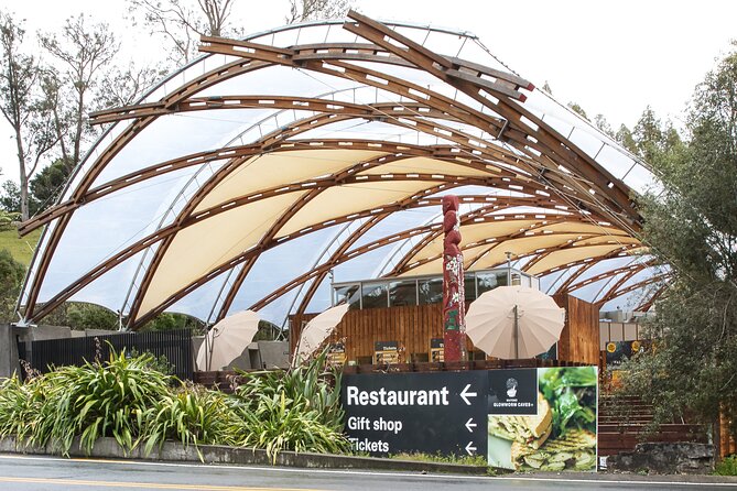 Rotorua to Auckland Afternoon Transfer with Waitomo Glow Worms - The road north after Waitomo