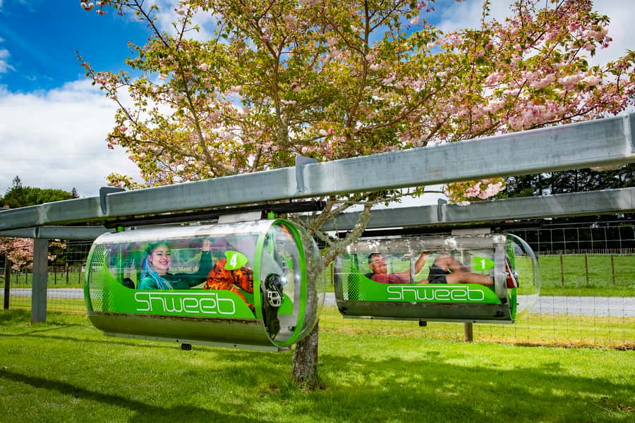 Rotorua: Velocity Valley - One Ride Pass - Choosing your one big Rotorua thrill