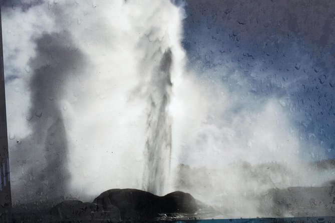Rotorua via Kiwi/lakes country & a visit to iconic Whakarewarewa - Government Gardens and Rotorua’s lakefront lunch
