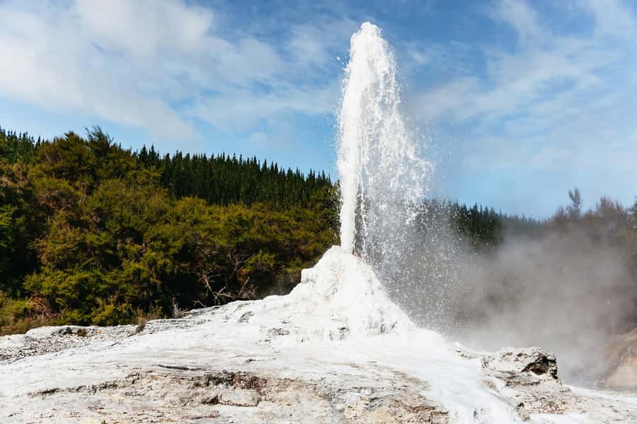 Rotorua: Wai-O-Tapu Geothermal Park Entry Ticket - Key points before you go