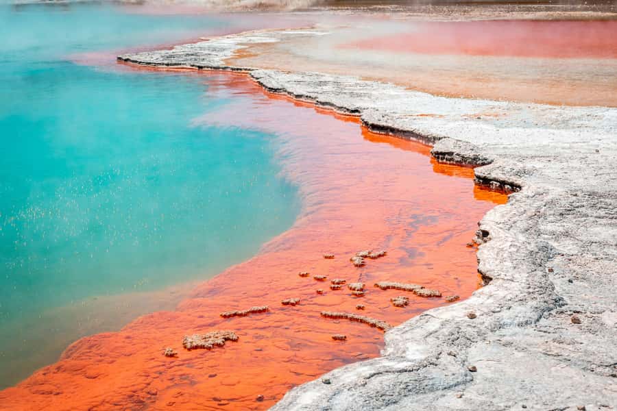 Rotorua: Wai-O-Tapu Geothermal Park Entry Ticket - Three trails, three ways to set the pace