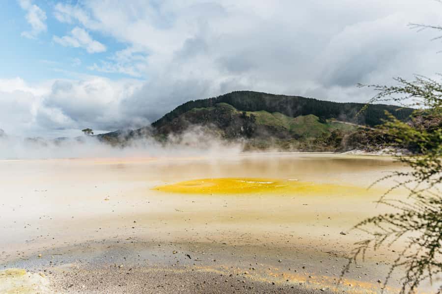 Rotorua: Wai-O-Tapu Geothermal Park Entry Ticket - Native bush makes the setting feel complete