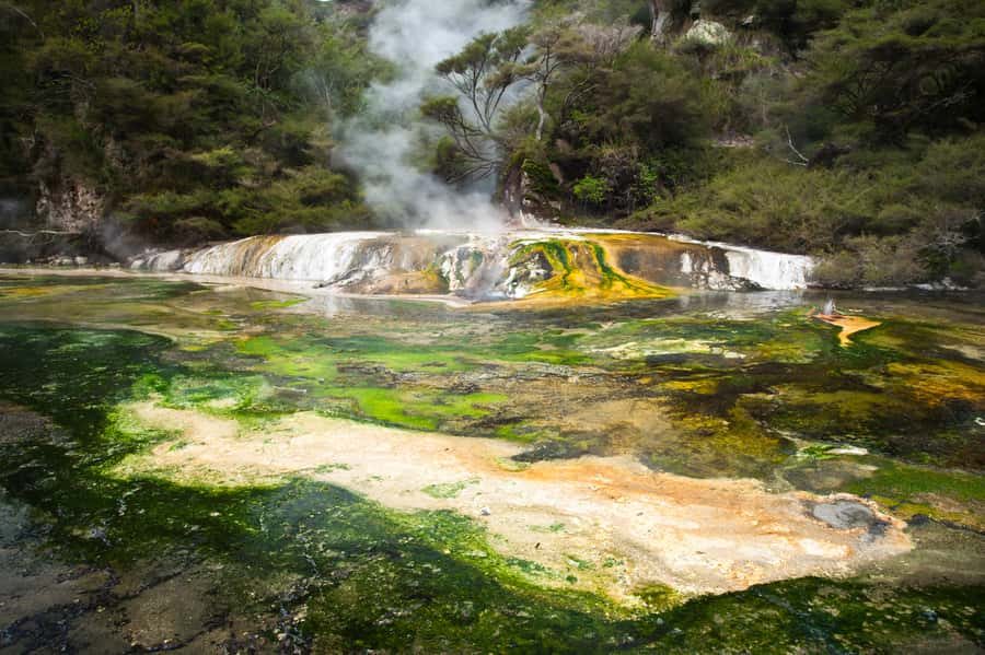 Rotorua: Waimangu Volcanic Valley Entry Ticket - How much time should you plan?