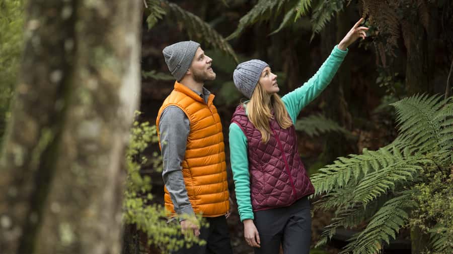 Rotorua: Waimangu Volcanic Valley Entry Ticket - Choosing between the 45-minute walk and the four-hour route