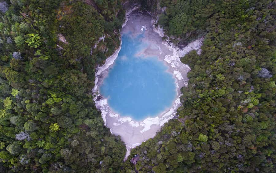 Rotorua: Waimangu Volcanic Valley Entry Ticket - Echo Crater and the first geothermal sights