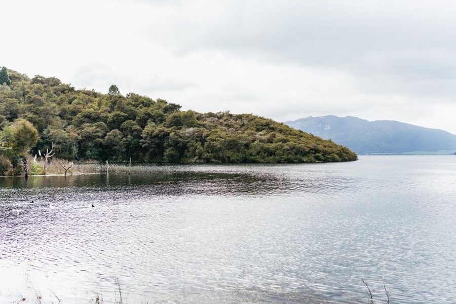 Rotorua: Waimangu Volcanic Valley Ticket & Self-Guided Walk - Key points to know before you go