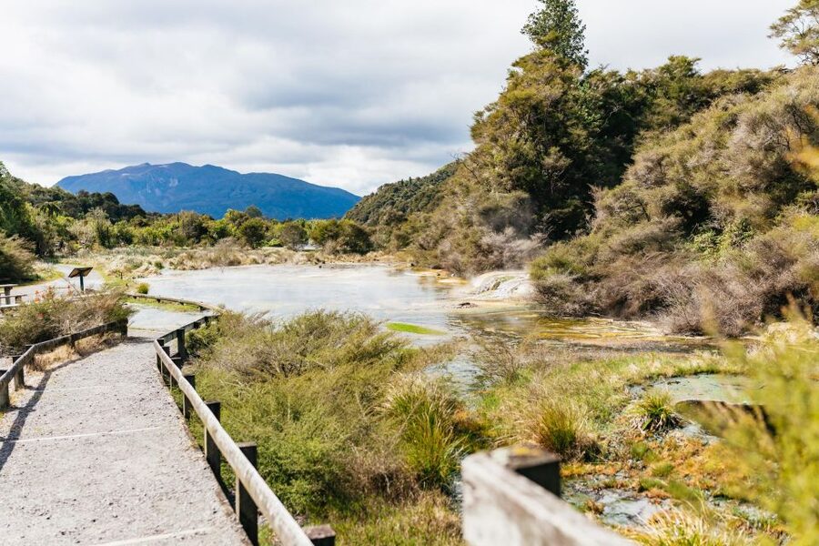 Rotorua: Waimangu Volcanic Valley Ticket & Self-Guided Walk - What the $38 admission is worth