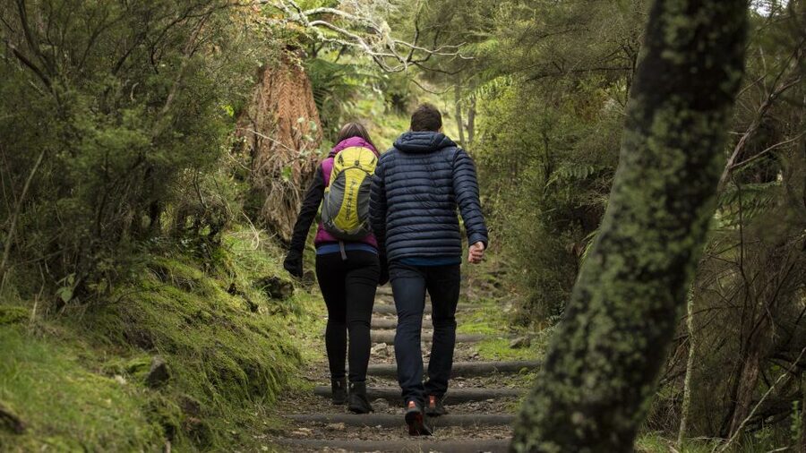 Rotorua: Waimangu Volcanic Valley Ticket & Self-Guided Walk - Frying Pan Lake and the first geothermal views
