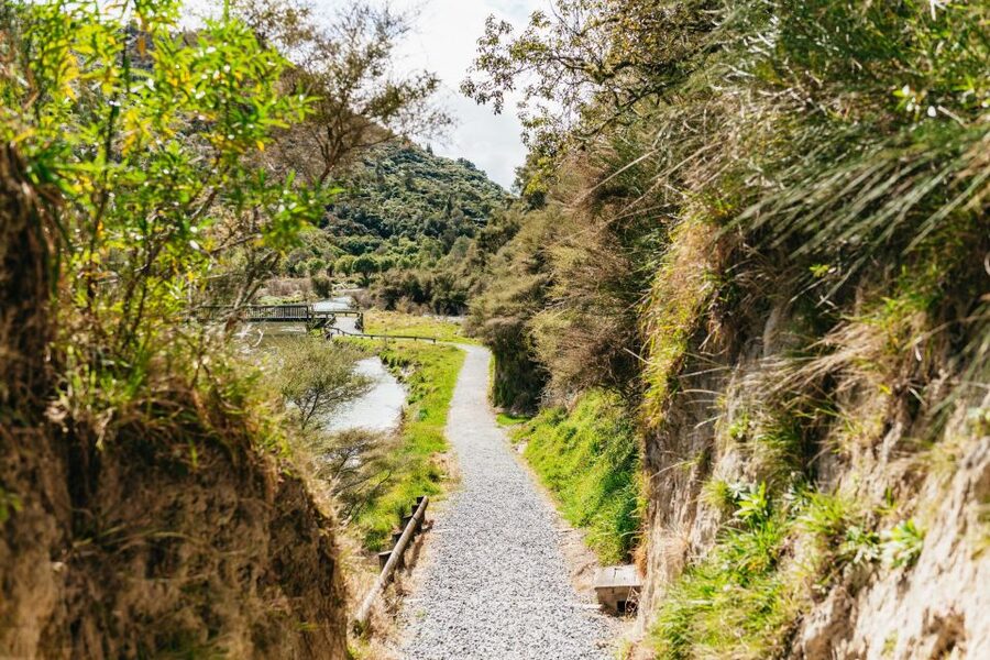 Rotorua: Waimangu Volcanic Valley Ticket & Self-Guided Walk - Starting at the Waimangu Visitor Centre