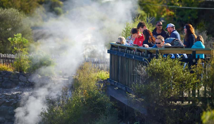 Rotorua: Whakarewarewa Village Guided Tour - Who will enjoy this Whakarewarewa experience