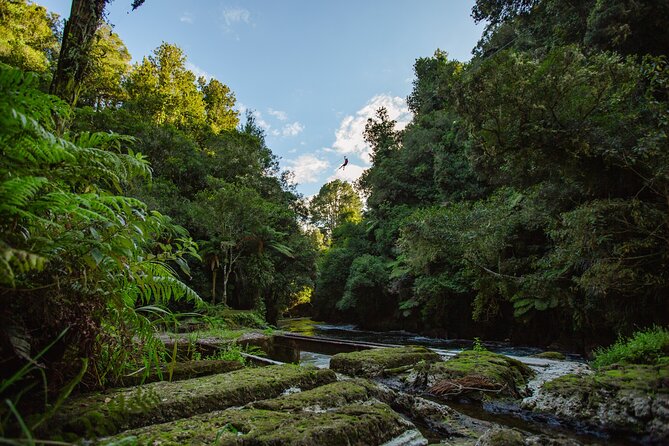 Rotorua Ziplines - Okere Falls Experience - Māori stories, ancient teas, and the mauri of the area