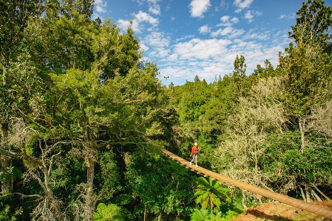 Rotorua Ziplines - Okere Falls Experience - Native forest, conservation, and the tree you plant