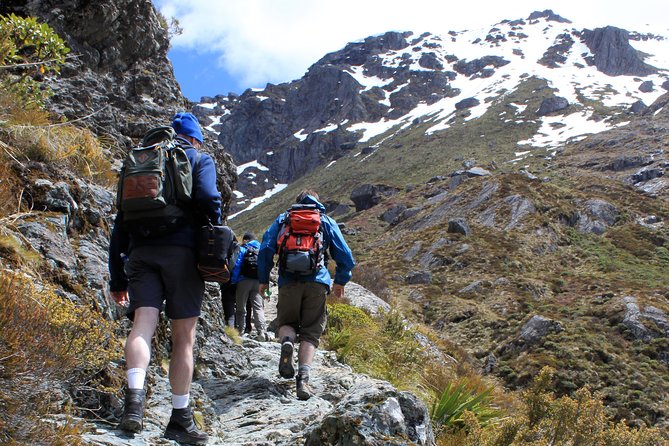 Routeburn Track Guided Hike (Full Day) - Key points at a glance