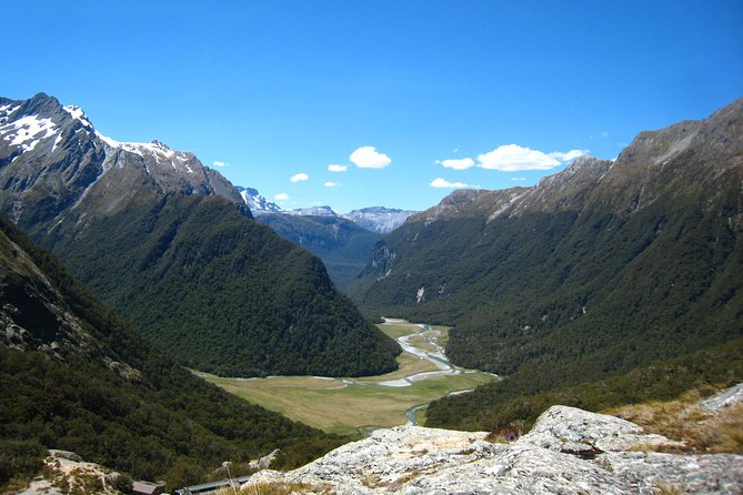 Routeburn Track Guided Hike (Full Day) - Walking through beech forest and podocarps