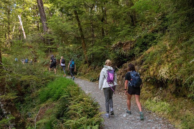 Routeburn Track Guided Walk (Half-Day) - A Routeburn taste without a multi-day commitment