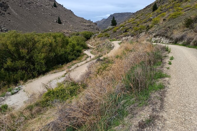 Roxburgh Gorge Bike Hire with Jet Boat & Return Shuttle Included - From Alexandra to Doctors Point