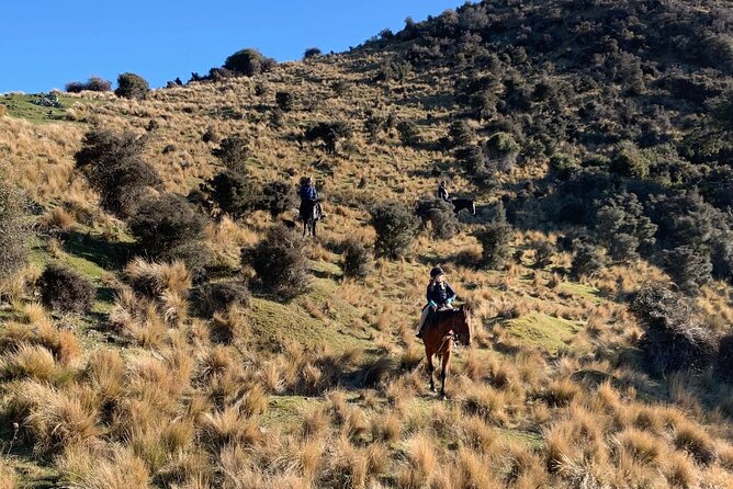 Rubicon Valley Horse Treks - 2 Hour River Trail Horse Trek - What the horses and guide mean for beginners