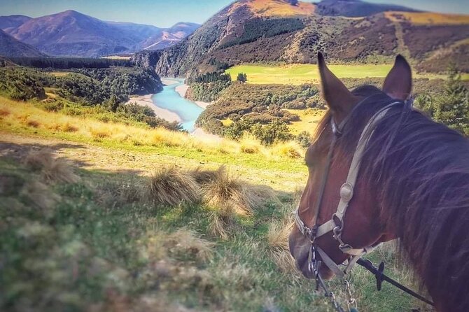 Rubicon Valley Horse Treks - 2 Hour River Trail Horse Trek - Across terraces, farmland, and a stream