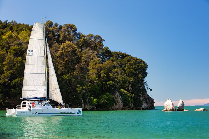 Sail, Seals, and Walk Tour in Abel Tasman - Key points at a glance
