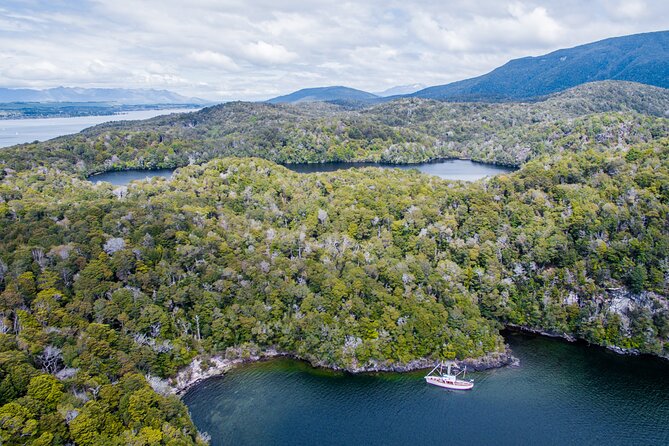 Scenic Cruise & Guided Walk on Historic Motor Yacht Lake Te Anau - Afternoon tea on the water