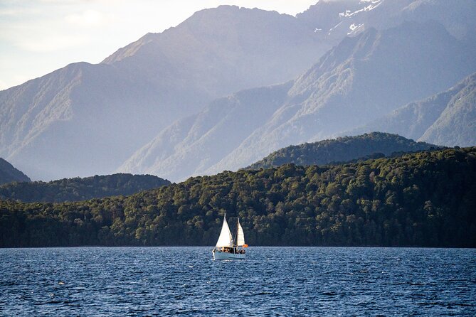 Scenic Cruise & Guided Walk on Historic Motor Yacht Lake Te Anau - The 40-minute Fiordland forest walk